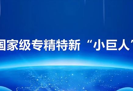 PG电子·[中国]官方网站_项目877